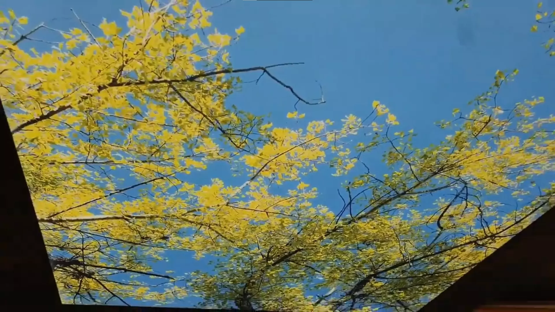 Сургут, Рабочая, 41, фото 2