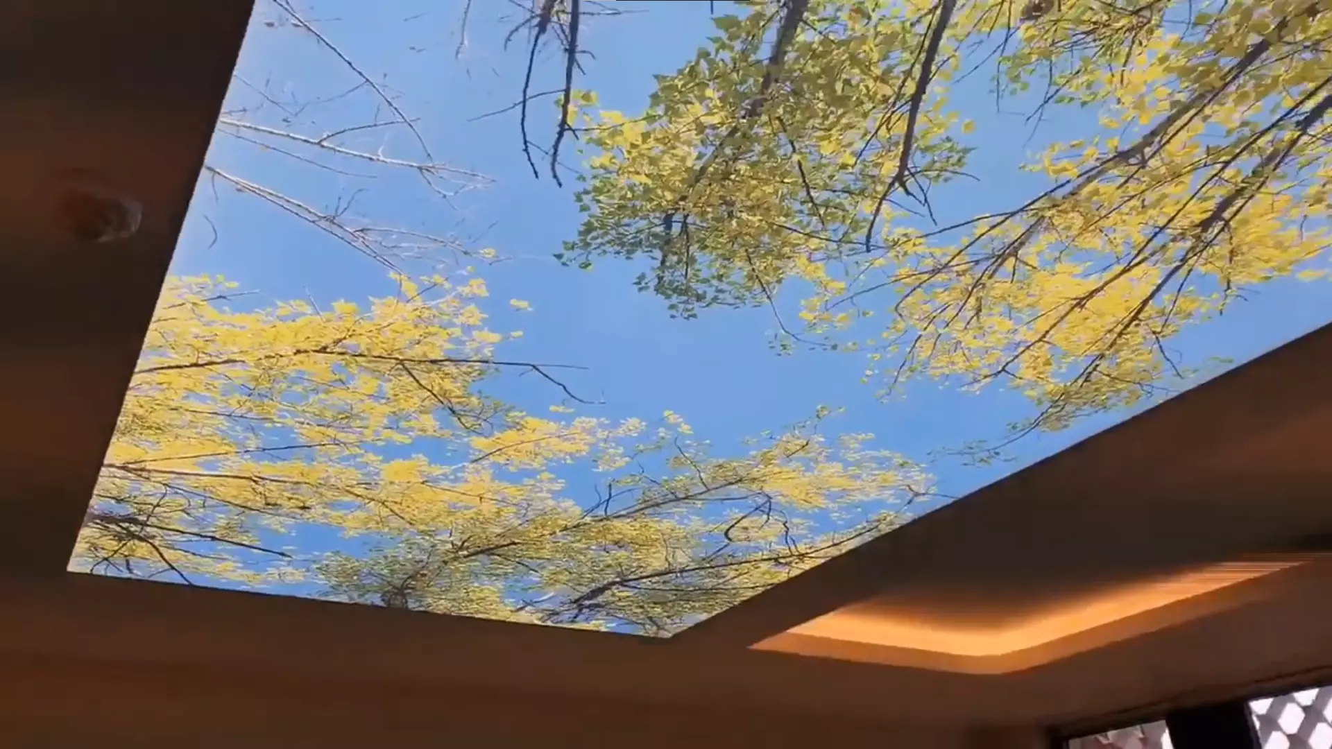 Сургут, Рабочая, 41, фото 3